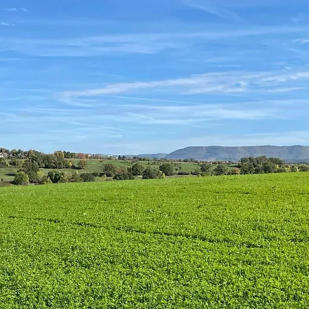 Sonnige 3 Mit Schoenem Balkon Im Gruenen * Reutlingen