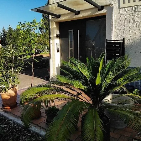 Sonnige 3 Mit Schoenem Balkon Im Gruenen Daire